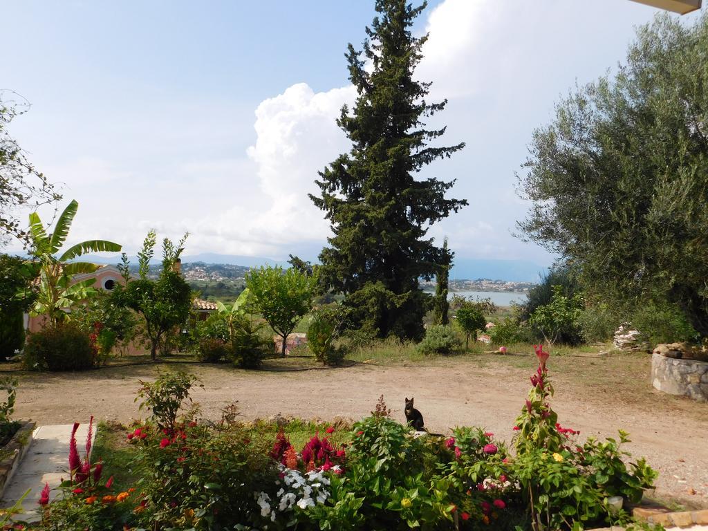 Villa Olga'S Hill Perama  Exterior foto